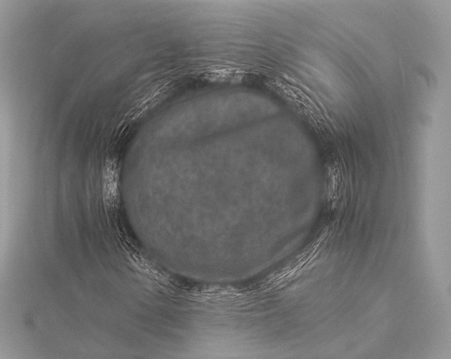 X0000115541154200911201734