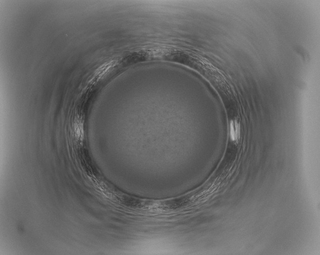 X0000115541155200911201734