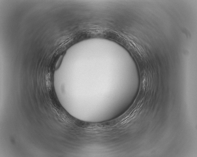 X0000115541156200911201734