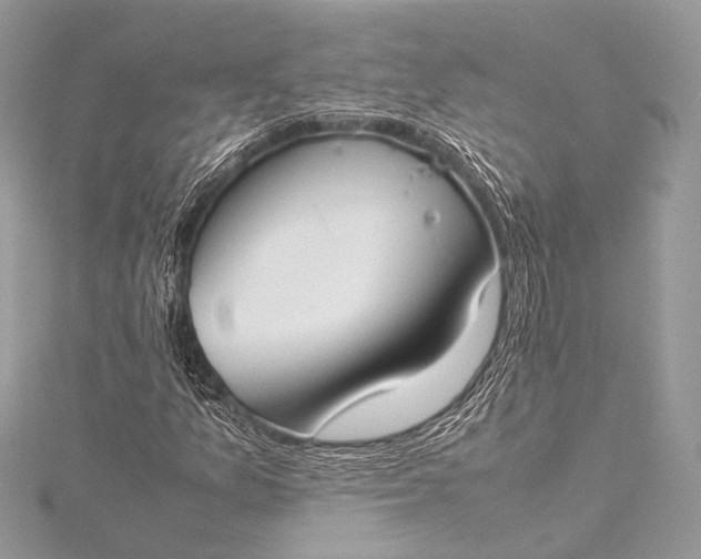 X0000115541157200911201734