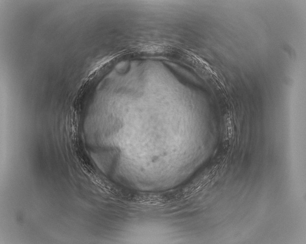 X0000115541158200911201734