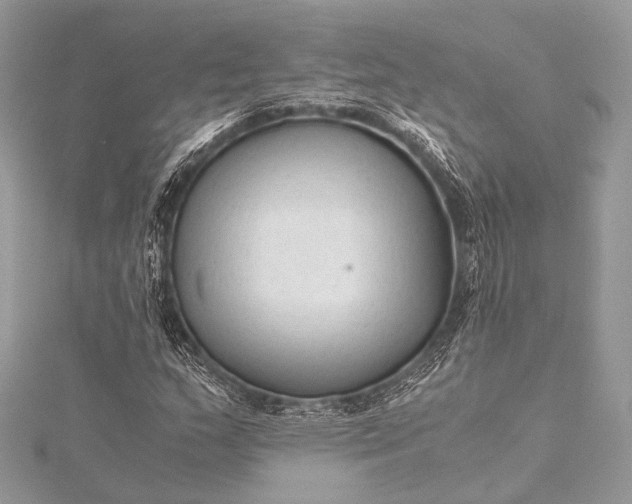 X0000115541159200911201734