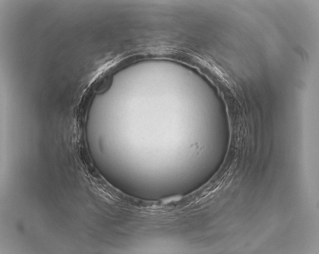 X0000115541160200911201734