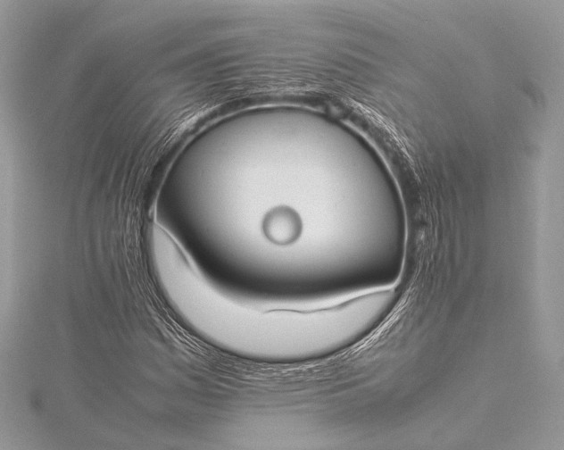 X0000115541161200911201734