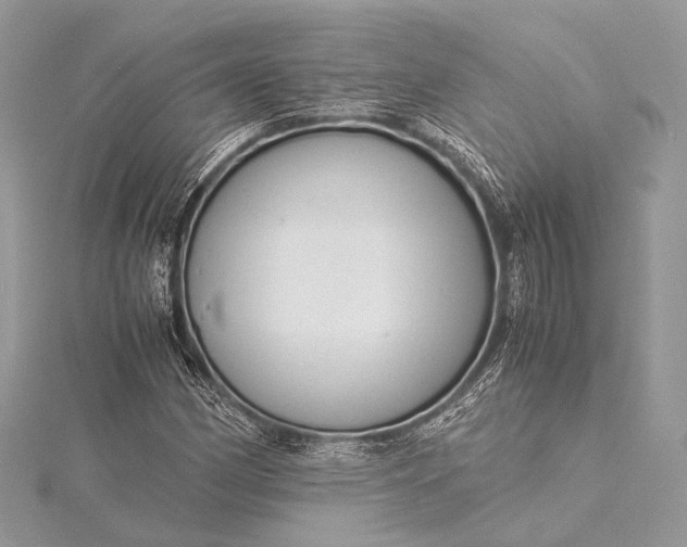 X0000115541162200911201734