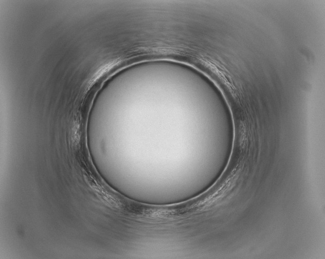 X0000115541163200911201734