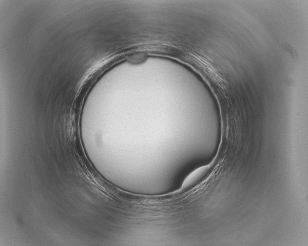 X0000115541164200911201734