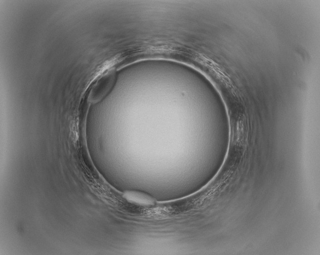 X0000115541165200911201734