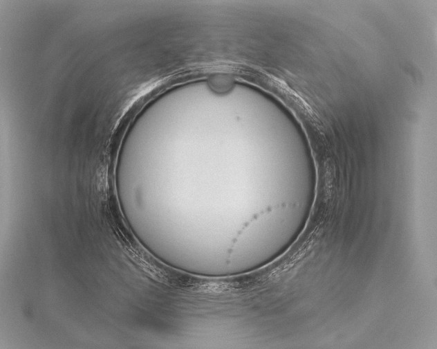 X0000115541166200911201734