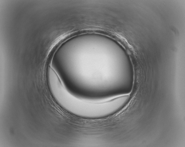 X0000115541167200911201734