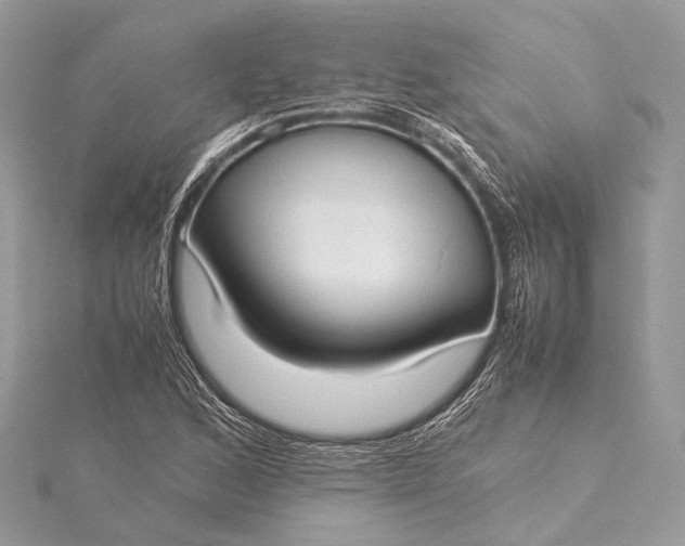 X0000115541168200911201734