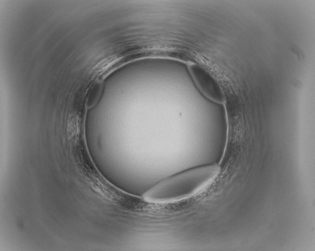 X0000115541169200911201734