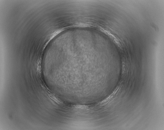 X0000115541170200911201734