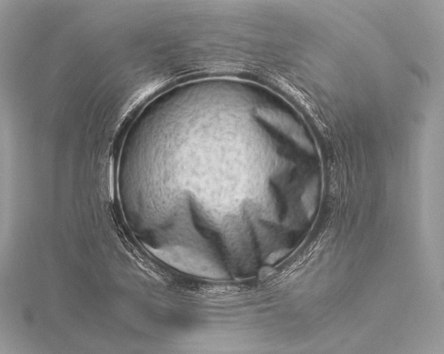 X0000115541171200911201734