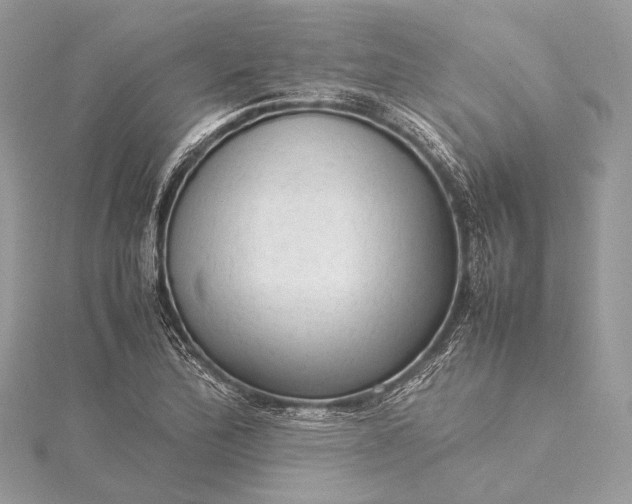 X0000115541172200911201734