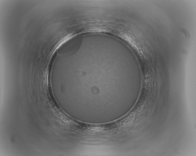 X0000115541173200911201734