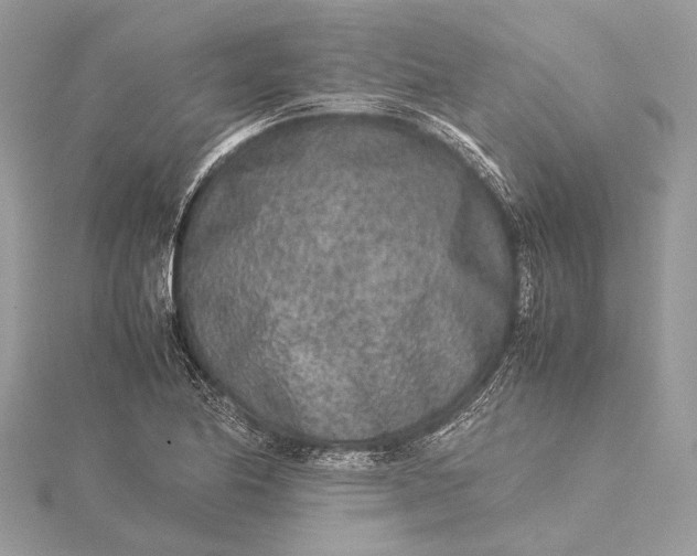 X0000115541174200911201734