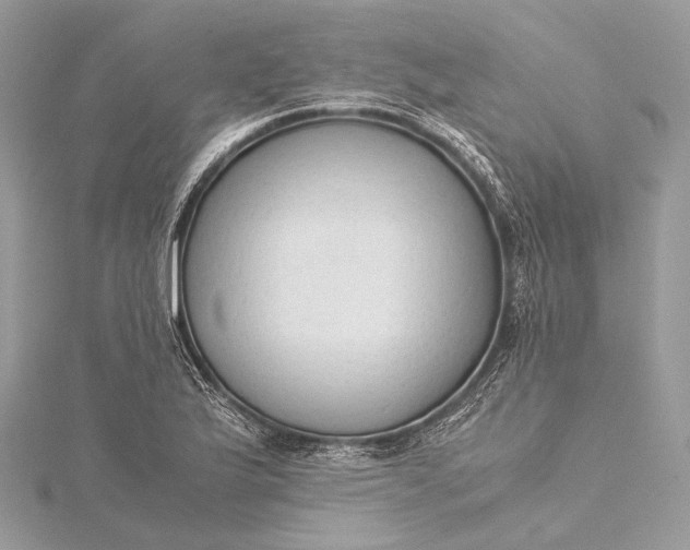 X0000115541175200911201734