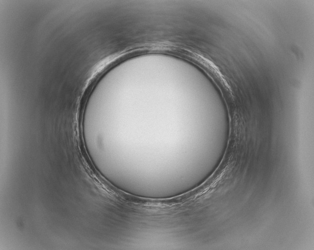 X0000115541176200911201734