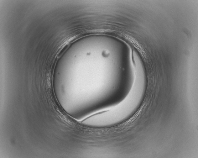 X0000115541177200911201734