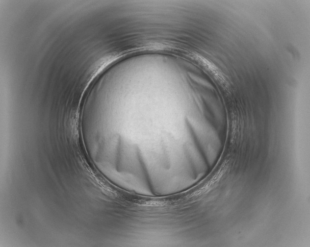 X0000115541178200911201734