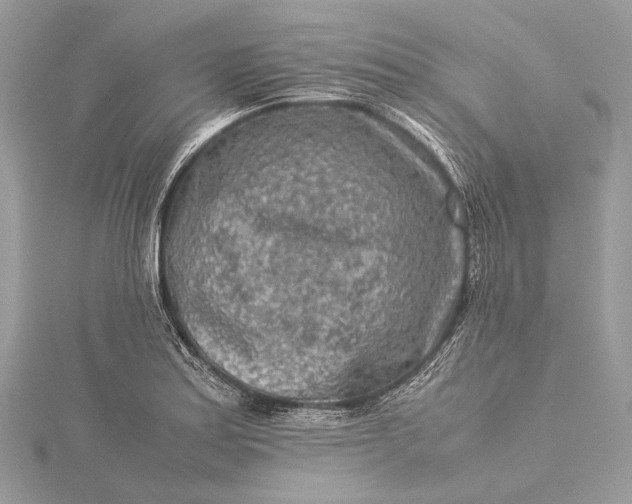 X0000115541179200911201734