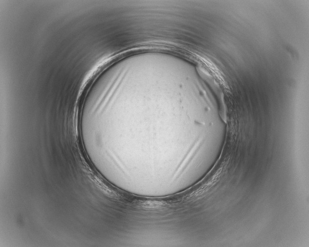 X0000115541180200911201734