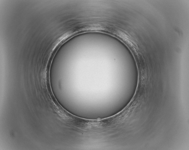 X0000115541181200911201733