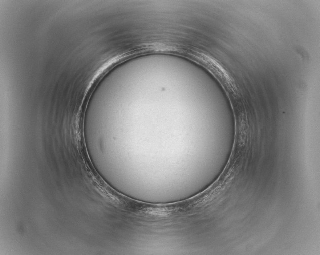 X0000115541182200911201733