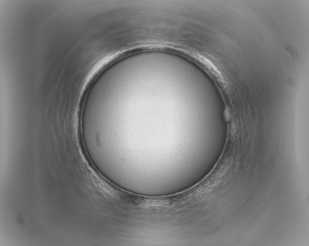 X0000115541183200911201733