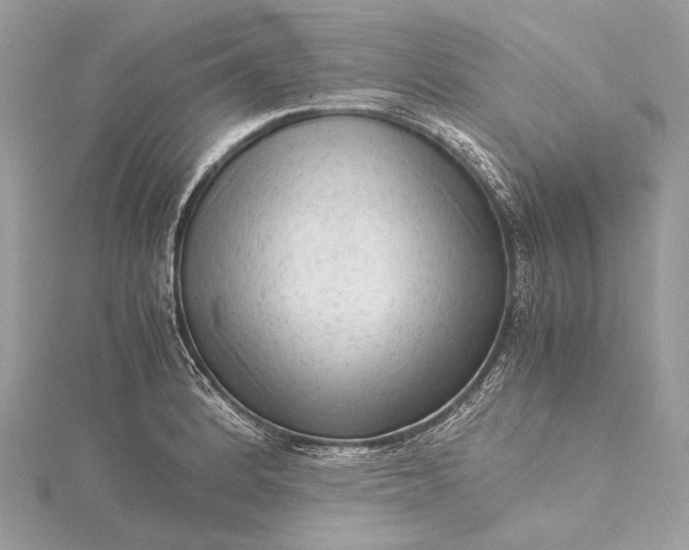 X0000115541184200911201733