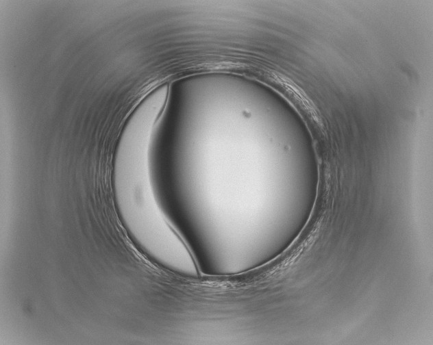 X0000115541185200911201733