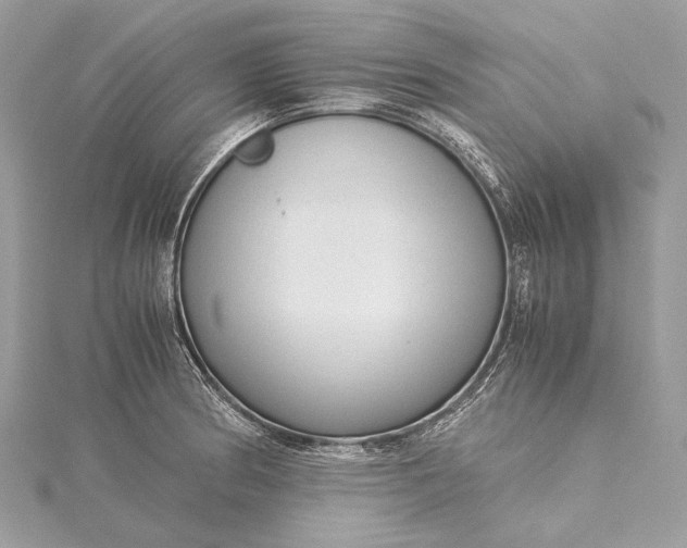 X0000115541186200911201733