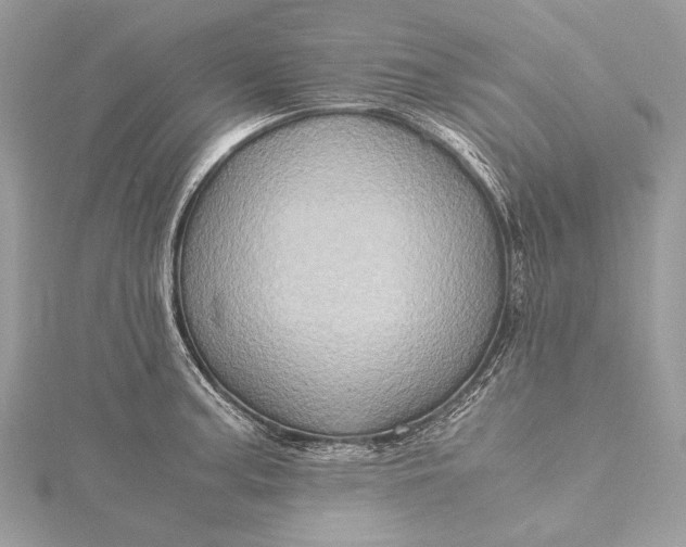 X0000115541187200911201733