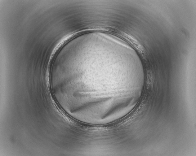 X0000115541188200911201733