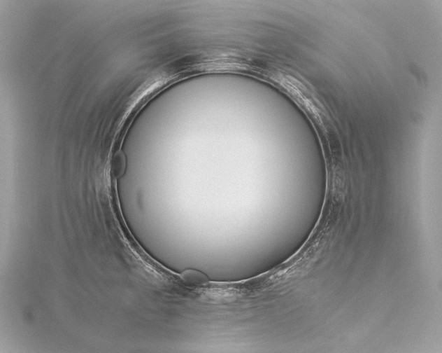 X0000115541189200911201733