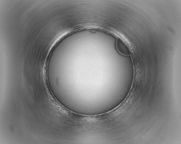 X0000115541190200911201733