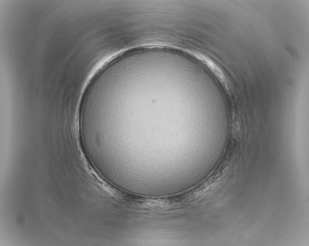 X0000115541191200911201733