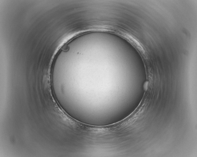 X0000115541192200911201733