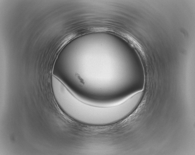 X0000115541193200911201733