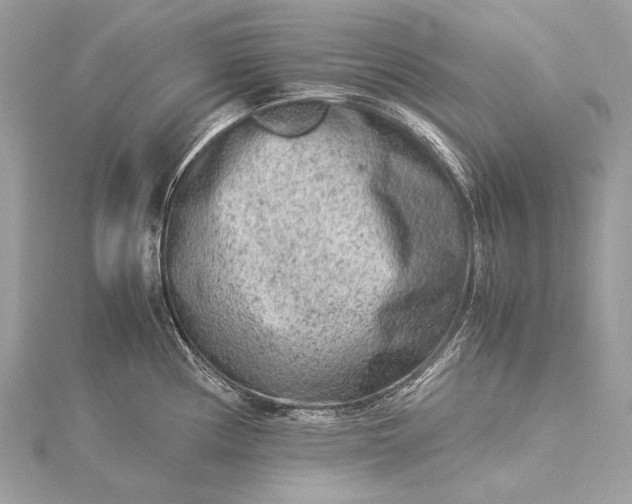 X0000115541194200911201733