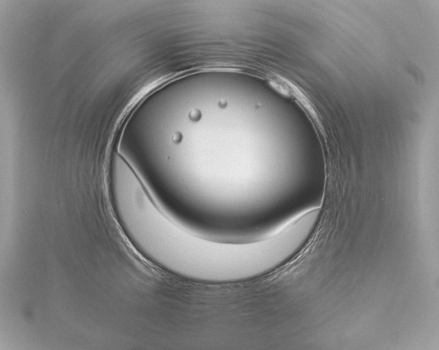 X0000115541195200911201733