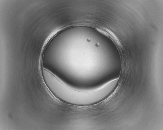 X0000115541196200911201733