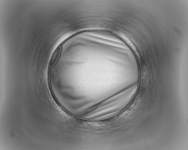 X0000115541197200911201733