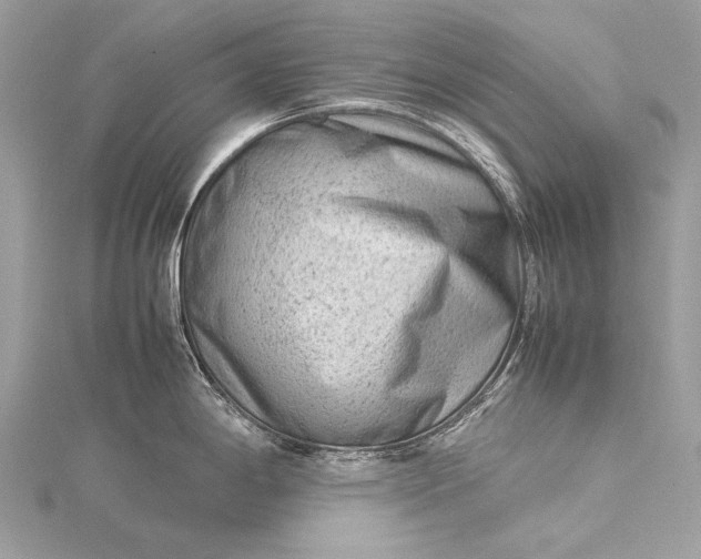 X0000115541198200911201733