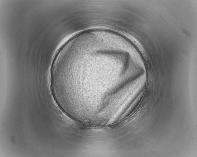 X0000115541199200911201733