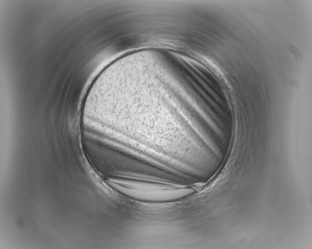 X0000115541200200911201733