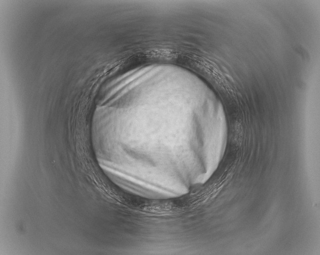 X0000115541201200911201732