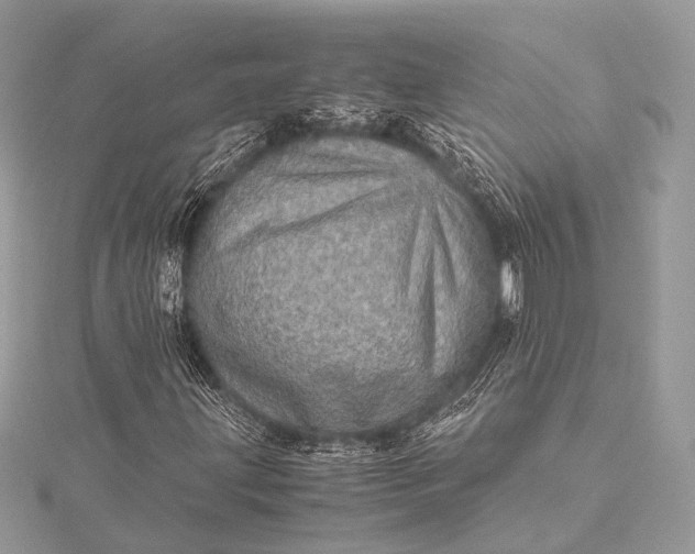 X0000115541203200911201732