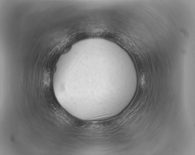 X0000115541204200911201733